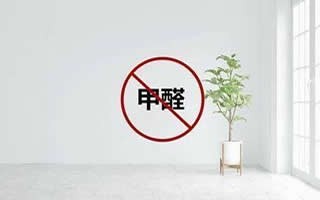 专业甲醛治理 家庭保洁 100保洁网 深度保洁